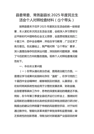 常务副县长2025年度民主生活会个人对照检查材料
