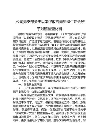 公司党支部以案促改专题组织生活会班子对照检查材料