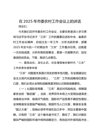 在2025年市委农村工作会议上的讲话