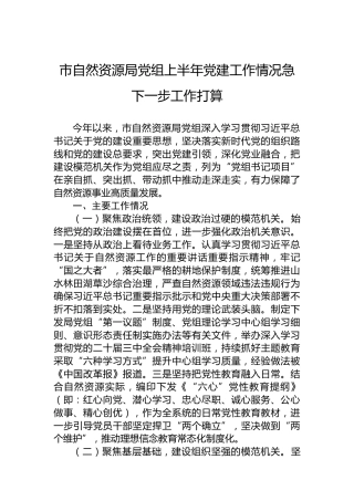 市自然资源局党组上半年党建工作情况急下一步工作打算