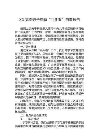 XX党委班子专题“回头看”自查报告