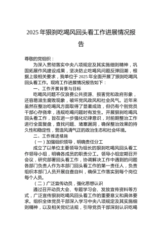 2025年狠刹吃喝风回头看工作进展情况报告