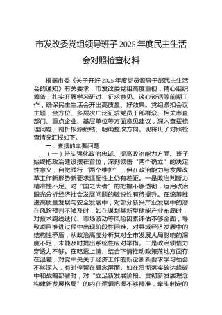 市发改委党组领导班子2025年度民主生活会对照检查材料