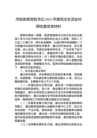 市财政局党组书记2025年度民主生活会对照检查发言材料