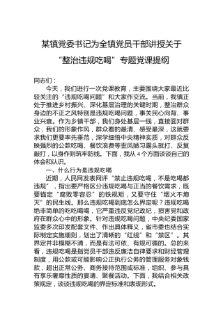 某镇党委书记为全镇党员干部讲授关于“整治违规吃喝”专题党课提纲