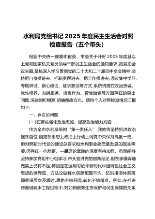 水利局党组书记2025年度民主生活会对照检查报告（五个带头）