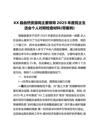 XX县自然资源局主要领导2025年度民主生活会个人对照检查材料（带案例）