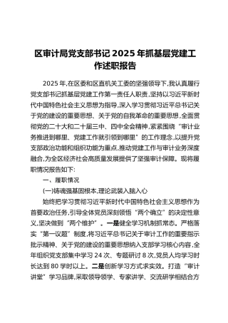 区审计局党支部书记2025年抓基层党建工作述职报告