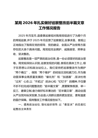 某局2026年扎实做好巡察整改后半篇文章工作情况报告