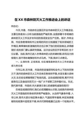 在XX市森林防灭火工作推进会上的讲话