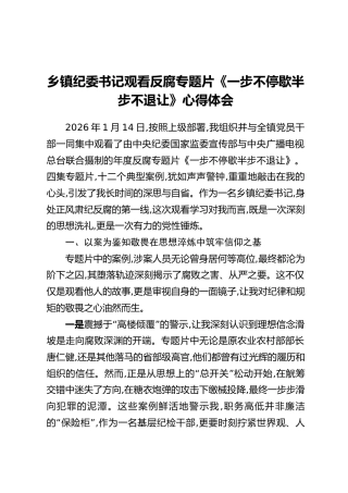 乡镇纪委书记观看反腐专题片《一步不停歇半步不退让》心得体会