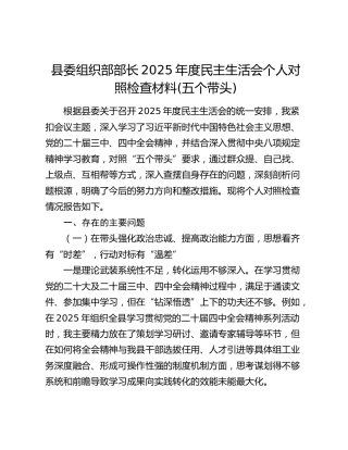 县委组织部部长2025年度民主生活会个人对照检查材料(五个带头)