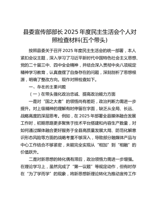 县委宣传部部长2025年度民主生活会个人对照检查材料(五个带头)