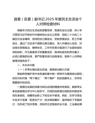 县委（区委）副书记2025年度民主生活会个人对照检查材料（五个带头）