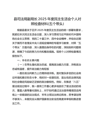 县司法局副局长2025年度民主生活会个人对照检查材料(五个带头)