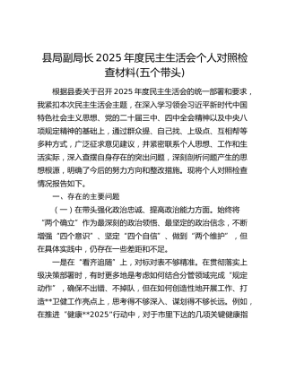 县局副局长2025年度民主生活会个人对照检查材料(五个带头)