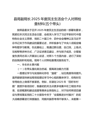 县局副局长2025年度民主生活会个人对照检查材料(五个带头)（4）