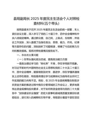 县局副局长2025年度民主生活会个人对照检查材料(五个带头)（3）