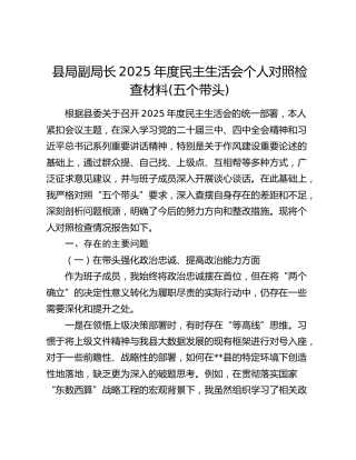 县局副局长2025年度民主生活会个人对照检查材料(五个带头)（2）