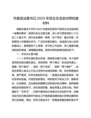 市委政法委书记2025年民主生活会对照检查材料（五个带头）