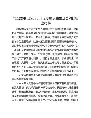 市纪委书记2025年度专题民主生活会对照检查材料（贯彻中央八项规定精神学习教育整改整治及以往有关问题整改落实情况+五个带头）