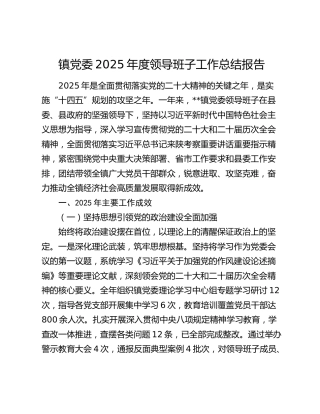 镇党委2025年度领导班子工作总结报告