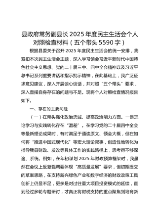 县政府常务副县长2025年度民主生活会个人对照检查材料（五个带头 5590字）