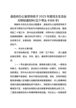 县政府办公室领导班子2025年度民主生活会对照检查材料(五个带头 4566字)