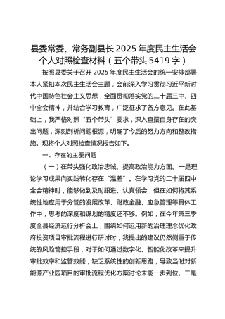 县委常委、常务副县长2025年度民主生活会个人对照检查材料（五个带头5419字）