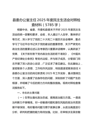 县委办公室主任2025年度民主生活会对照检查材料（5785字）