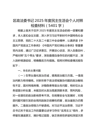 区政法委书记2025年度民主生活会个人对照检查材料（5401字）
