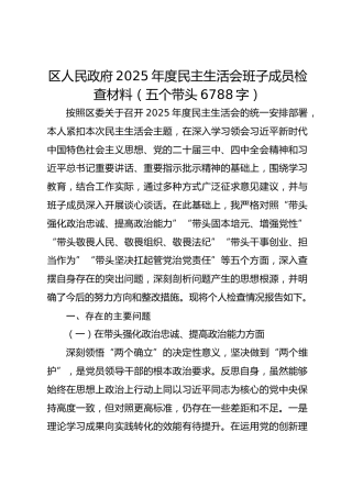 区人民政府领导2025年度民主生活会检查材料（五个带头6788字）