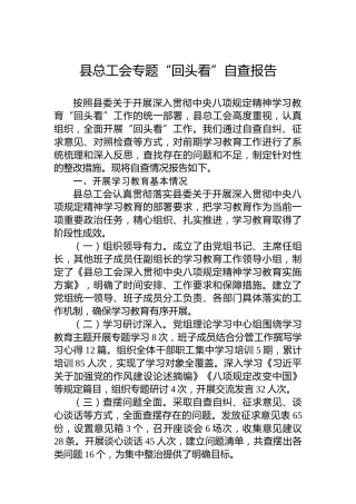 县总工会专题“回头看”自查报告