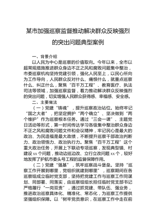 某市加强巡察监督推动解决群众反映强烈的突出问题典型案例