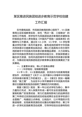 某区推进民族团结进步教育示范学校创建工作汇报