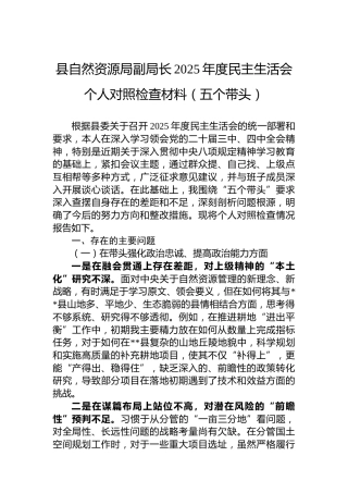 县自然资源局副局长2025年度民主生活会个人对照检查材料（五个带头）