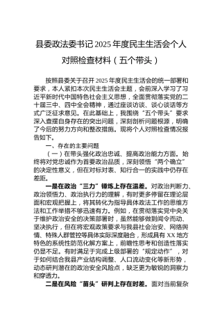 县委政法委书记2025年度民主生活会个人对照检查材料（五个带头）