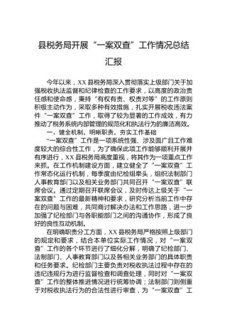 县税务局开展“一案双查”工作情况总结汇报