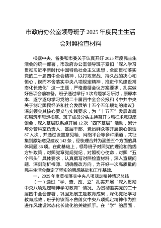 市政府办公室领导班子2025年度民主生活会对照检查材料