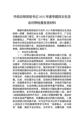 市信访局党组书记2025年度专题民主生活会对照检查发言材料