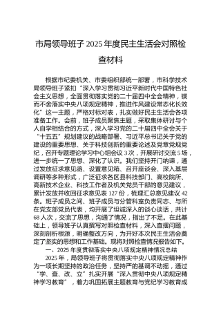 市局领导班子2025年度民主生活会对照检查材料