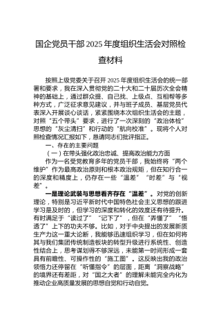 国企党员干部2025年度组织生活会对照检查材料