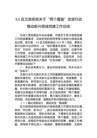 XX区文旅系统关于“两个覆盖”攻坚行动推动新兴领域党建工作总结