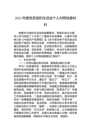 2025年度党员组织生活会个人对照检查材料