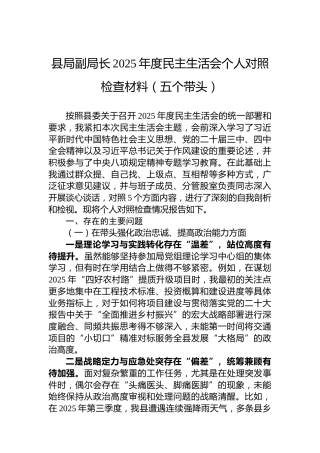 县局副局长2025年度民主生活会个人对照检查材料（五个带头）