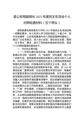 县公安局副局长2025年度民主生活会个人对照检查材料（五个带头）