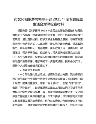 市文化和旅游局领导干部2025年度专题民主生活会对照检查材料（五个带头）