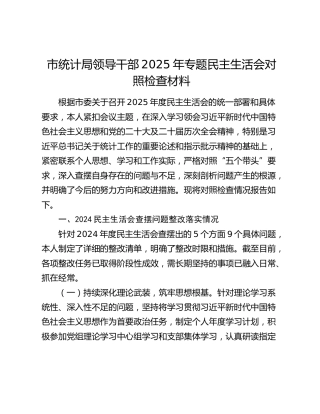 市统计局领导干部2025年专题民主生活会对照检查材料（上年度查摆问题整改落实情况+五个带头）