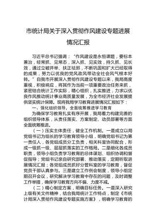 市统计局关于深入贯彻作风建设专题进展情况汇报