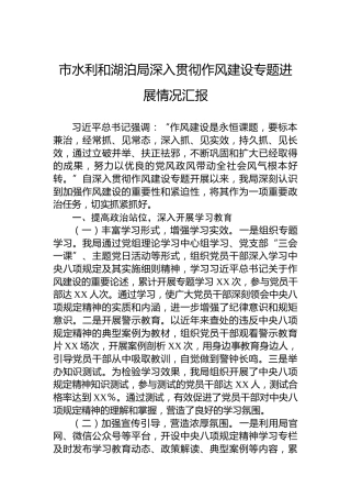 市水利和湖泊局深入贯彻作风建设专题进展情况汇报